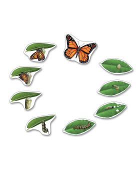 Životní cyklus - magnety - Životní cyklus motýle (9 ks)